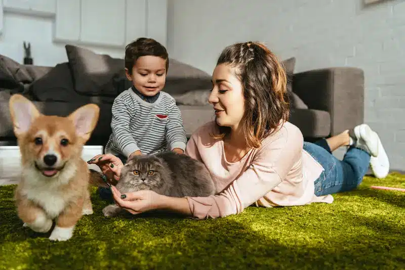 woman with child and two pets